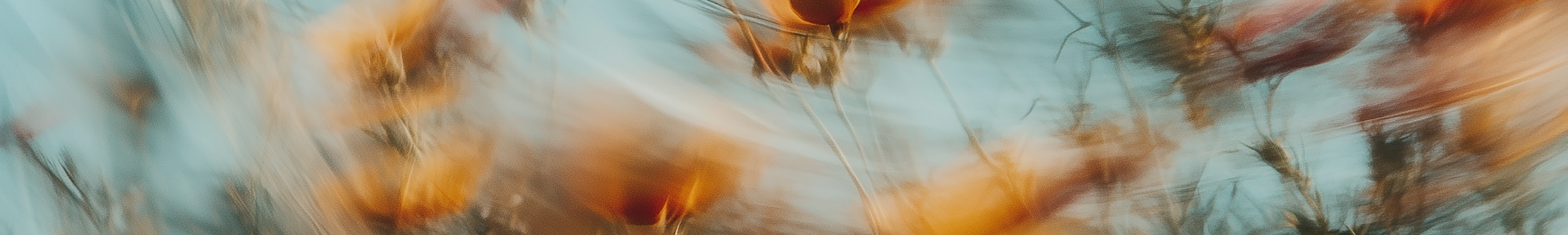 Mann fährt mit seinem Fahrrad zwischen Bäumen und Gras