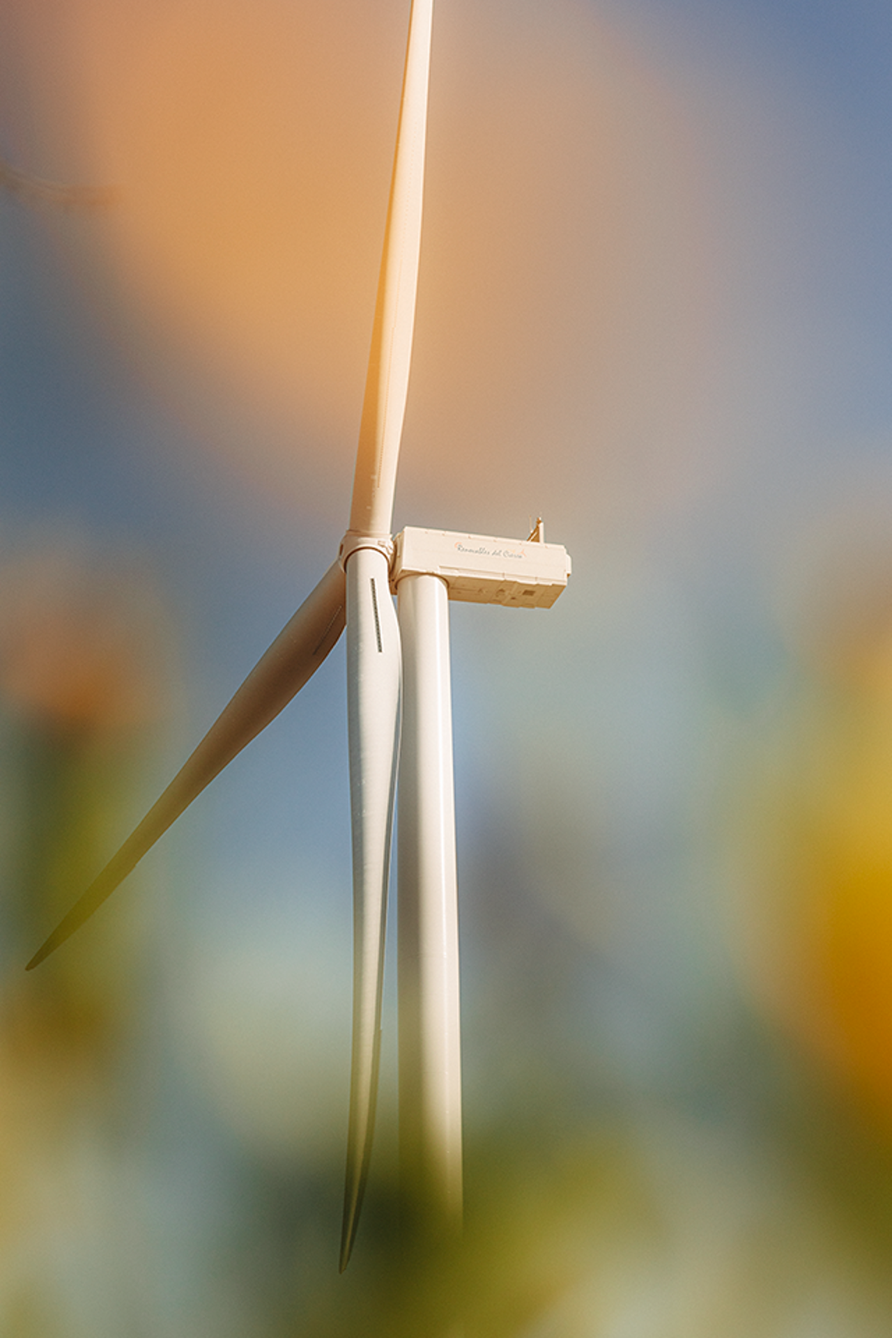 Windrad mit verschwomene Blumen im Vordergrund