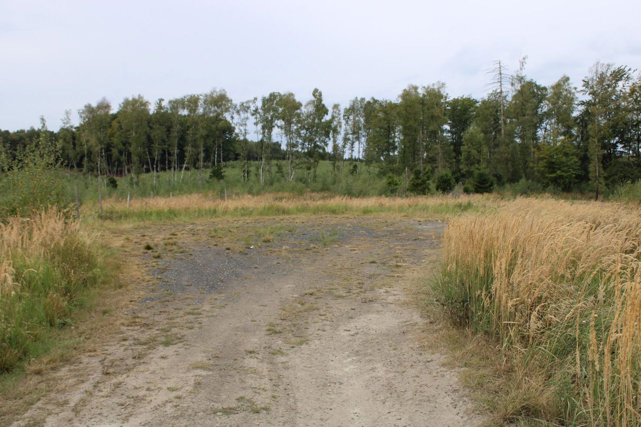 Forstfläche am Möhnesee