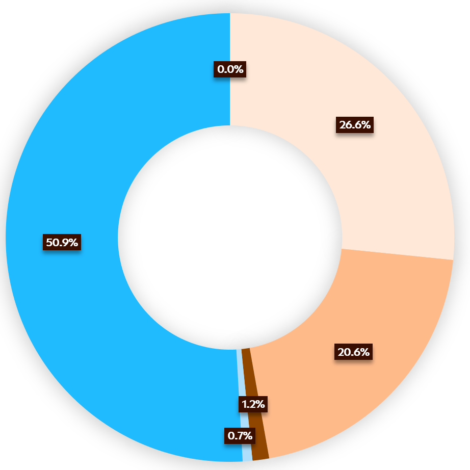 verbleibender Energiemix 2024